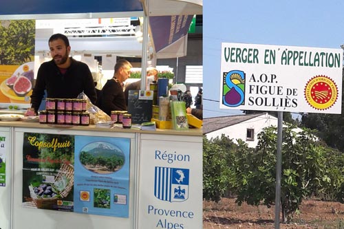 Figues de Solliès AOP présentées en plateau